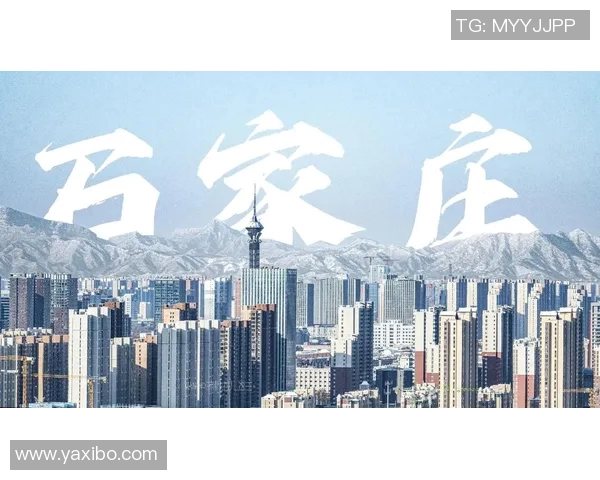 石家庄与武汉的城市魅力对比探讨与发展潜力分析