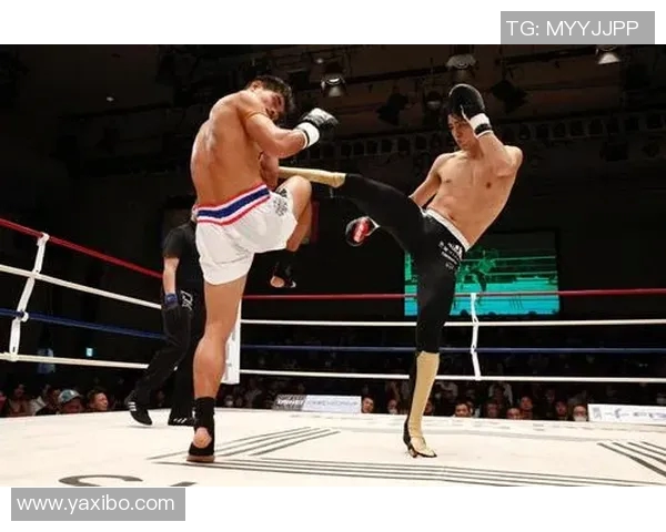 崔洪万与鲍勃萨普激战在即谁将成为拳坛新王者的焦点对决